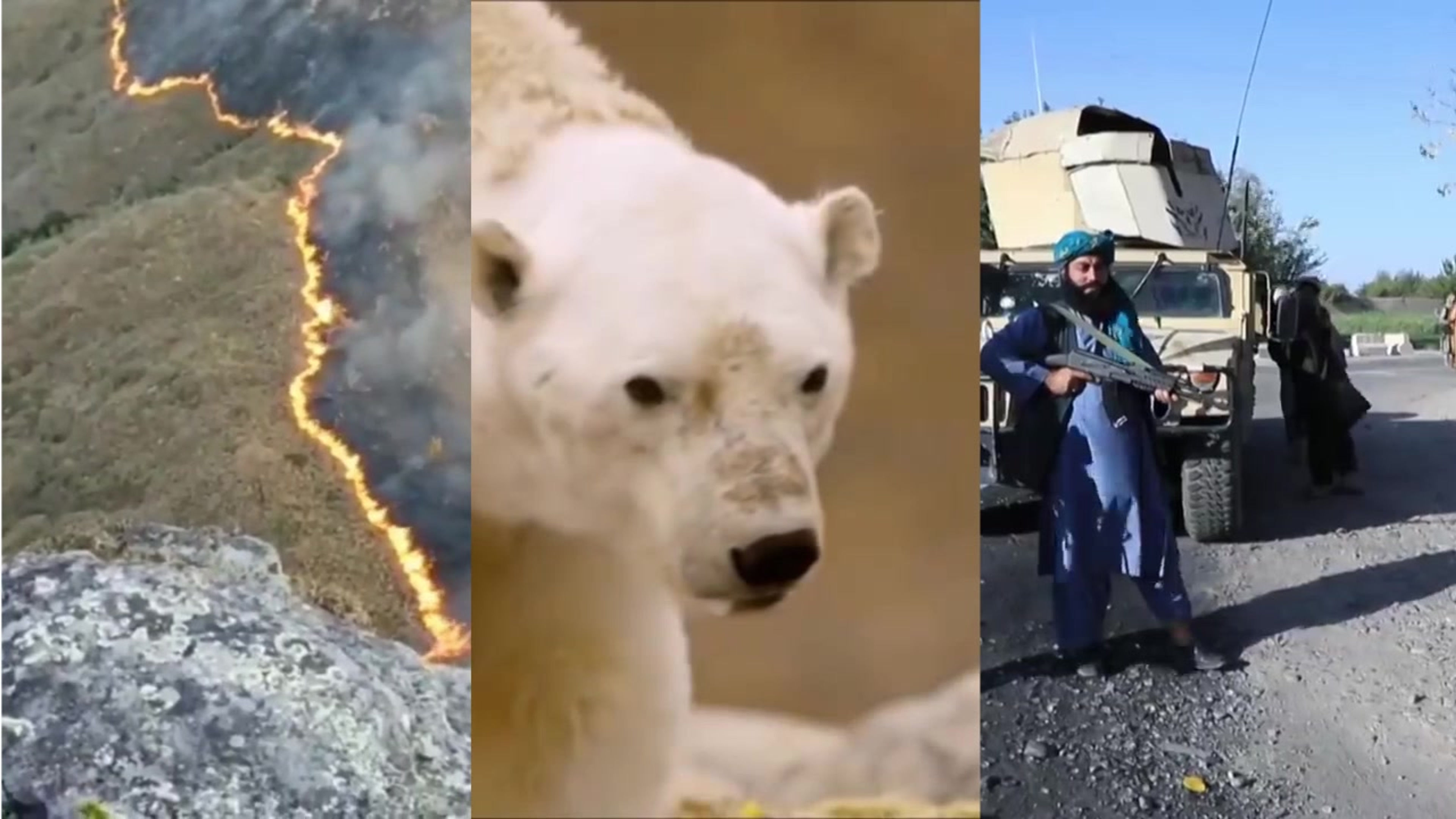 Vídeo de Divulgação